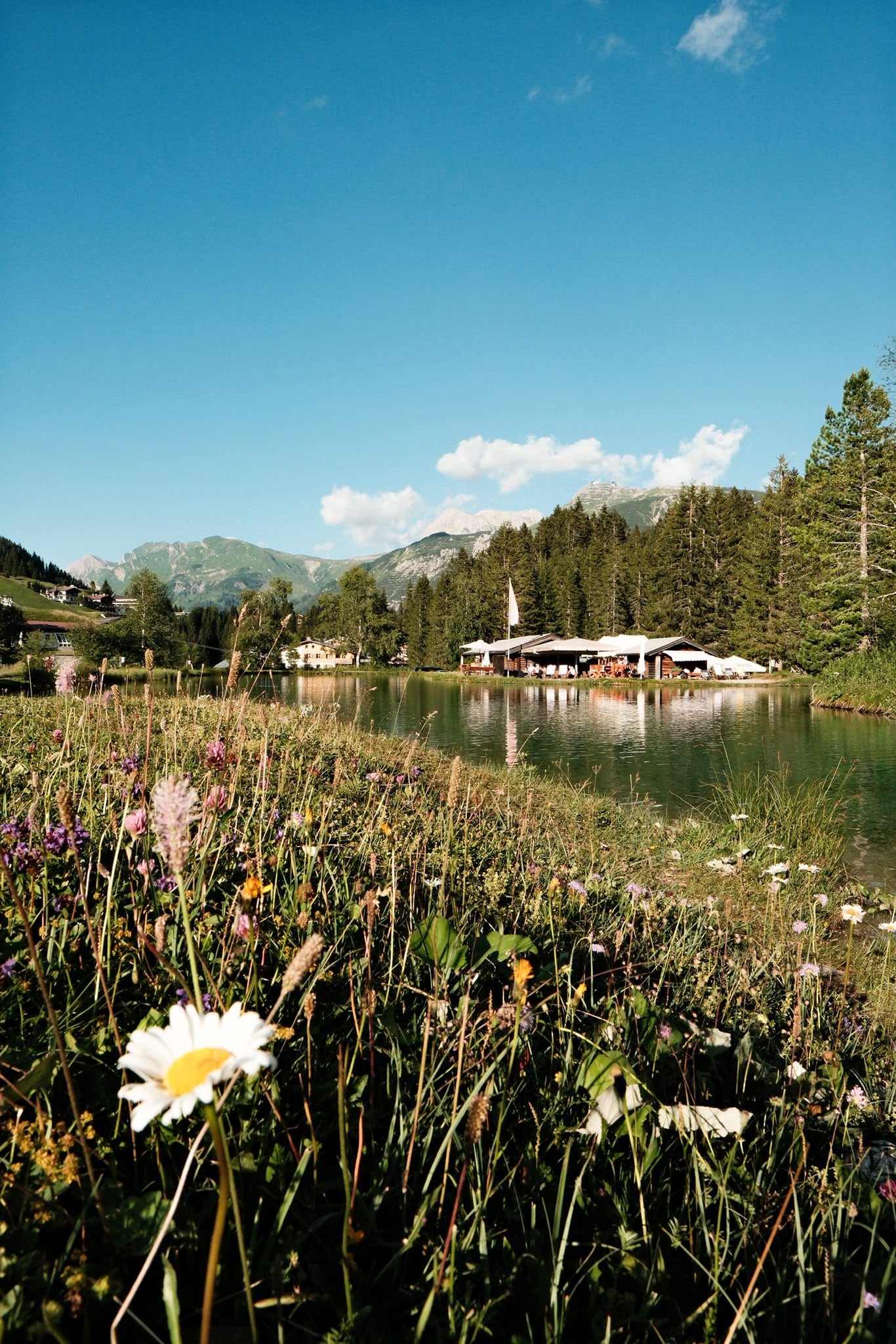 Blumenwiese am Ufer des Fischteichs mit Blick auf das Restaurant und die Berge